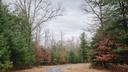 A wooded area in Centre County.