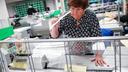 Voter registration worker Sharon Schoemaker sorts mail ballots at Lehigh County Government Center in Allentown, PA.