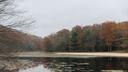 The lake at Black Moshannon State Park