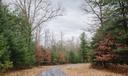 A wooded area in Centre County