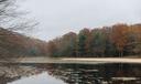 The lake at Black Moshannon State Park