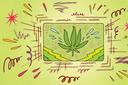 A stylized illustration of a marijuana leaf