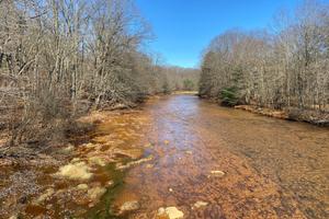 A stream along Coaldale Road in Rush Township, Centre County, runs orange from acid mine drainage.