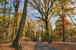 The entrance to Pen Ryn Estate near the Delaware River in Bucks County.