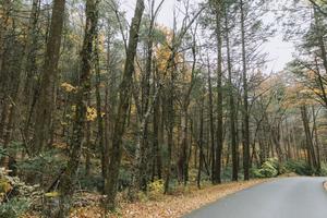 Rothrock State Forest in rural Huntingdon County, Pennsylvania.