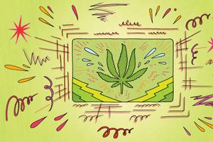 A stylized illustration of a marijuana leaf